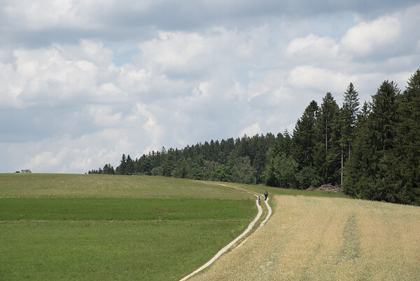 Die unzähligen Wald- und Feldwege der Umgebung laden zum Wandern und Radfahren ein