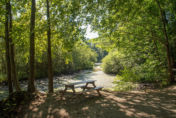 Rastplatz beim Krottensee