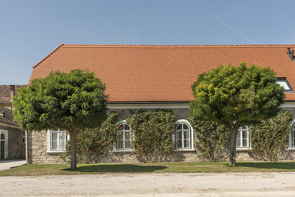 Unmittelbares Umfeld Schlossgründe Ebreichsdorf